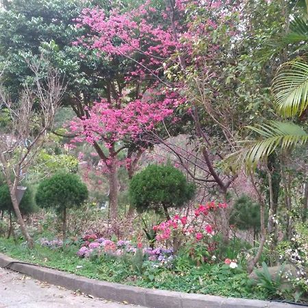 Ruyi Yuan Homestay Tongxiao المظهر الخارجي الصورة